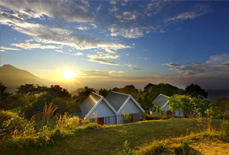 Hotel Ambady Estate, Munnar