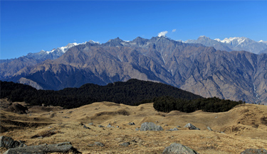 Auli Gorson Bugyal Trek