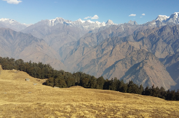 Auli Gorson Bugyal Trek- Guided Bugyal Trekking Tours in Garhwal ...