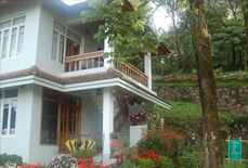 Blackberry Hills Retreat & Spa, Munnar