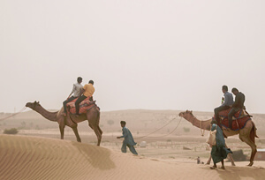 Rajasthan Camel Safari Tour- Book Camel Safari Holidays in Rajasthan