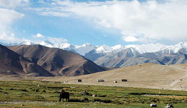 Trekking in Ladakh- Ladakh Trekking Tours & Adventure Travel Guide India