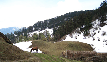 Dayara Bugyal Dodital Lake Trek