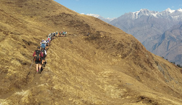 Kauri Pass Trek