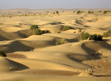 https://www.tourmyindia.com/images/khuri-sand-dunes1.jpg