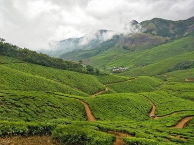 Kolukkumalai Tea Estate Munnar, Kerala