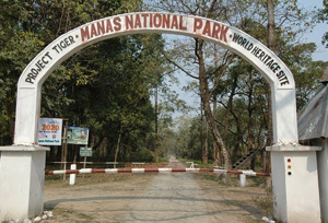 manas national park