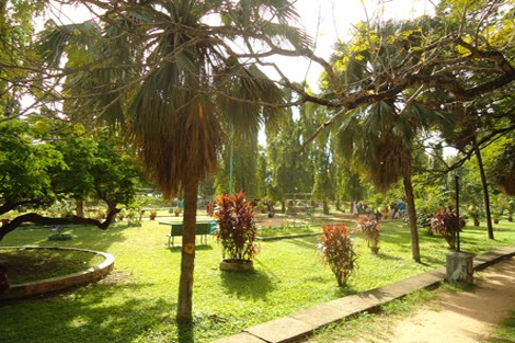 Subhash Park Ernakulam, Kerala