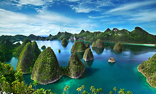 tour package india to indonesia