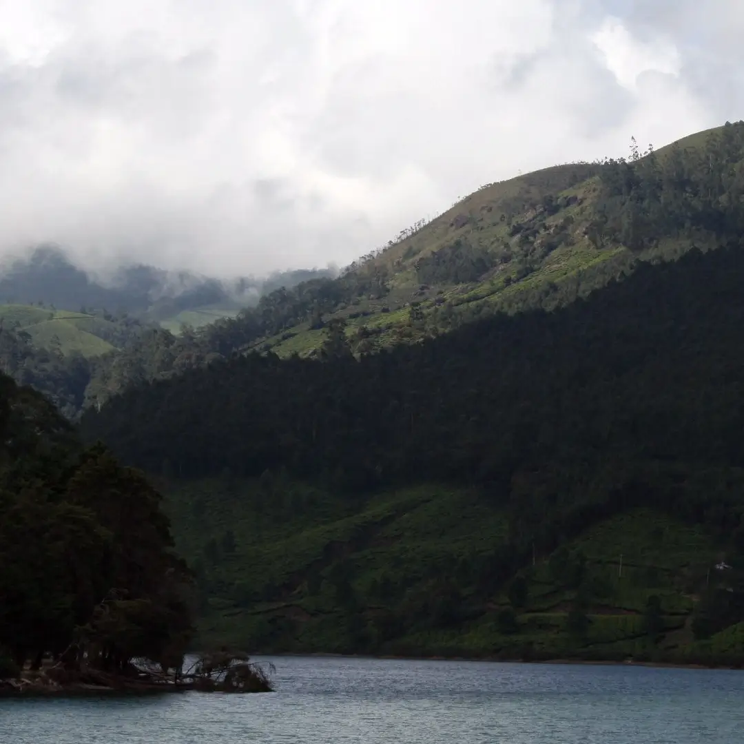 Munnar Hill Station Tour