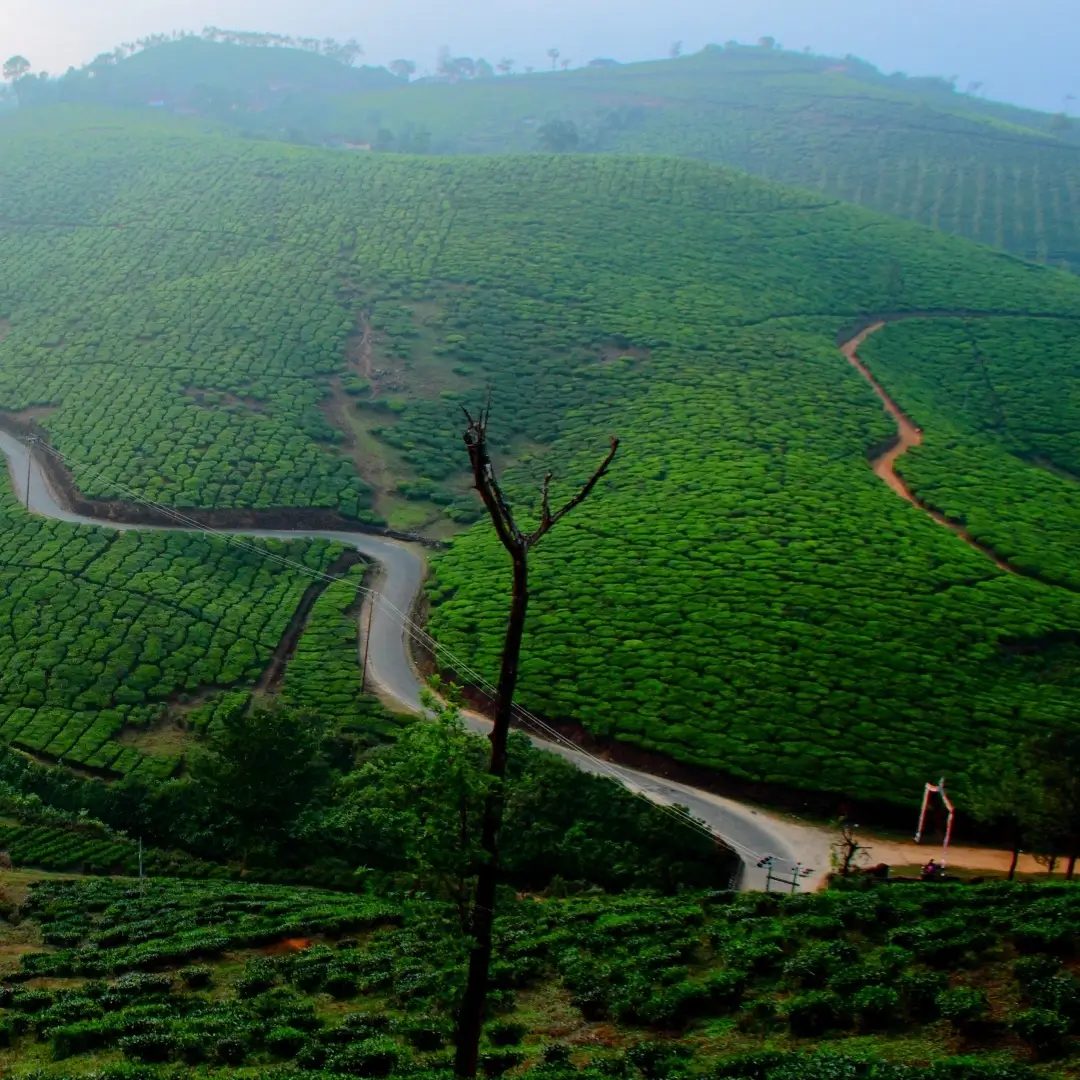 Vagamon Honeymoon Tour