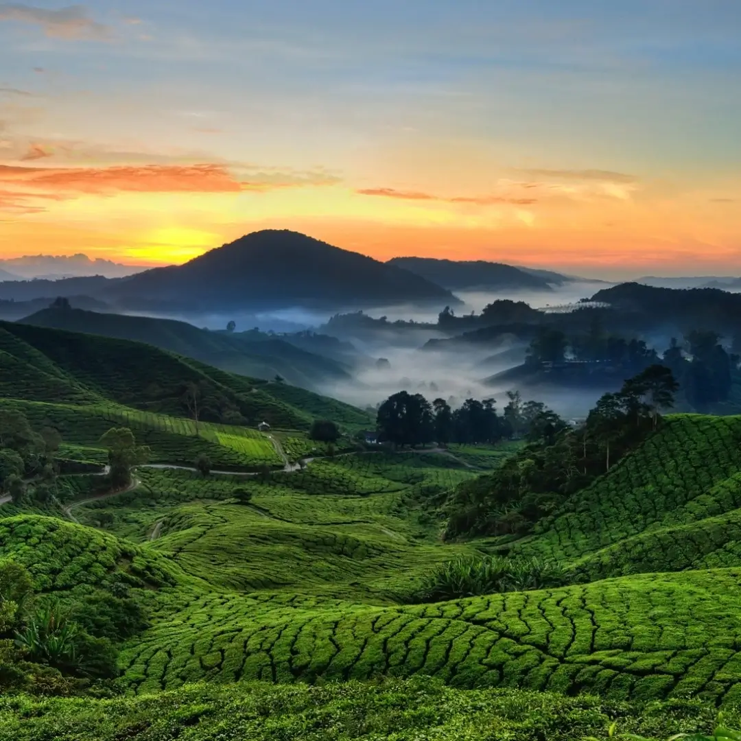 Munnar Hill Station