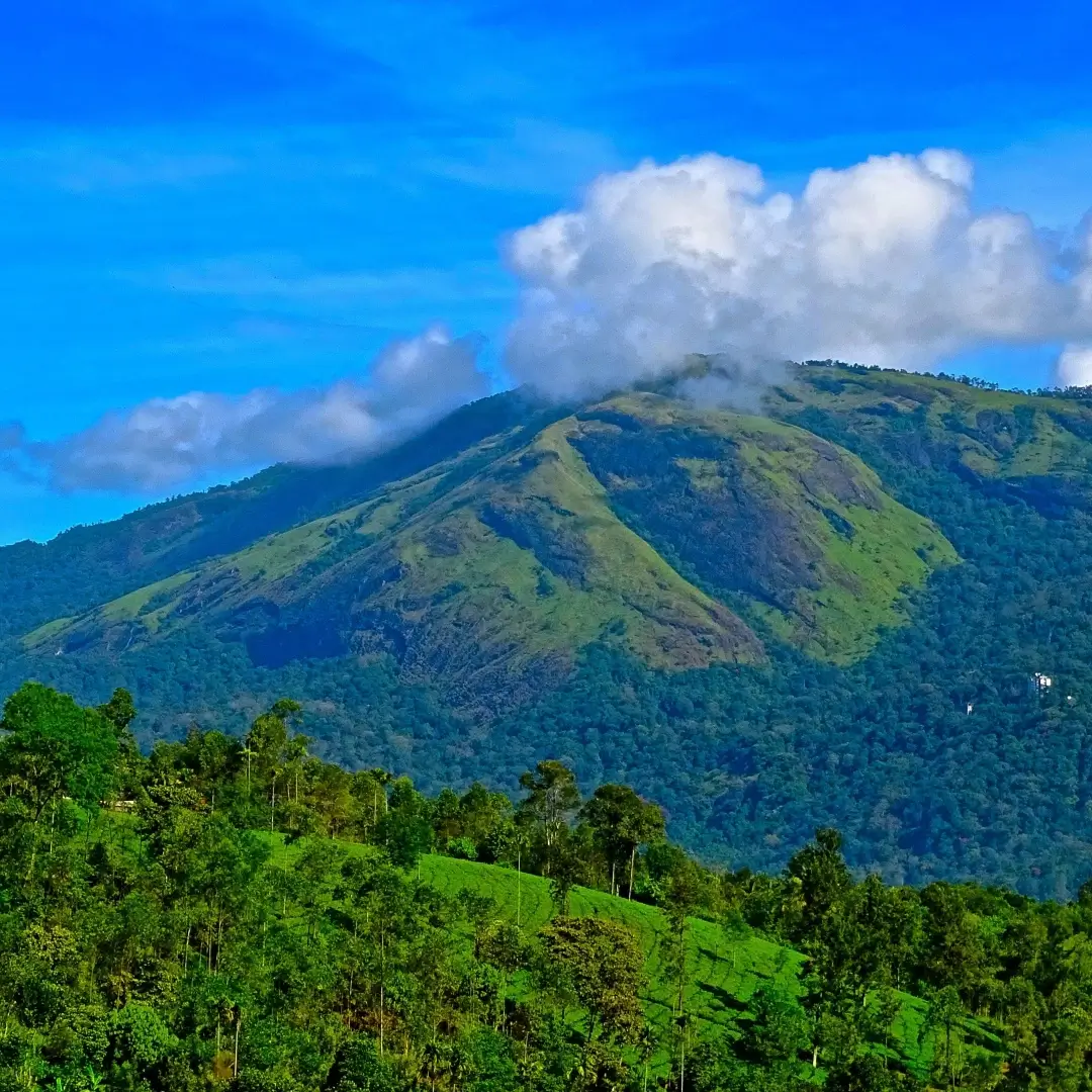 Munnar Hill Station Tour