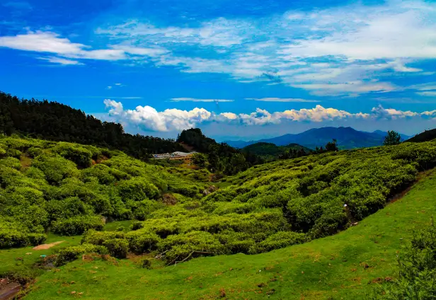 Bandipur Tour with Ooty