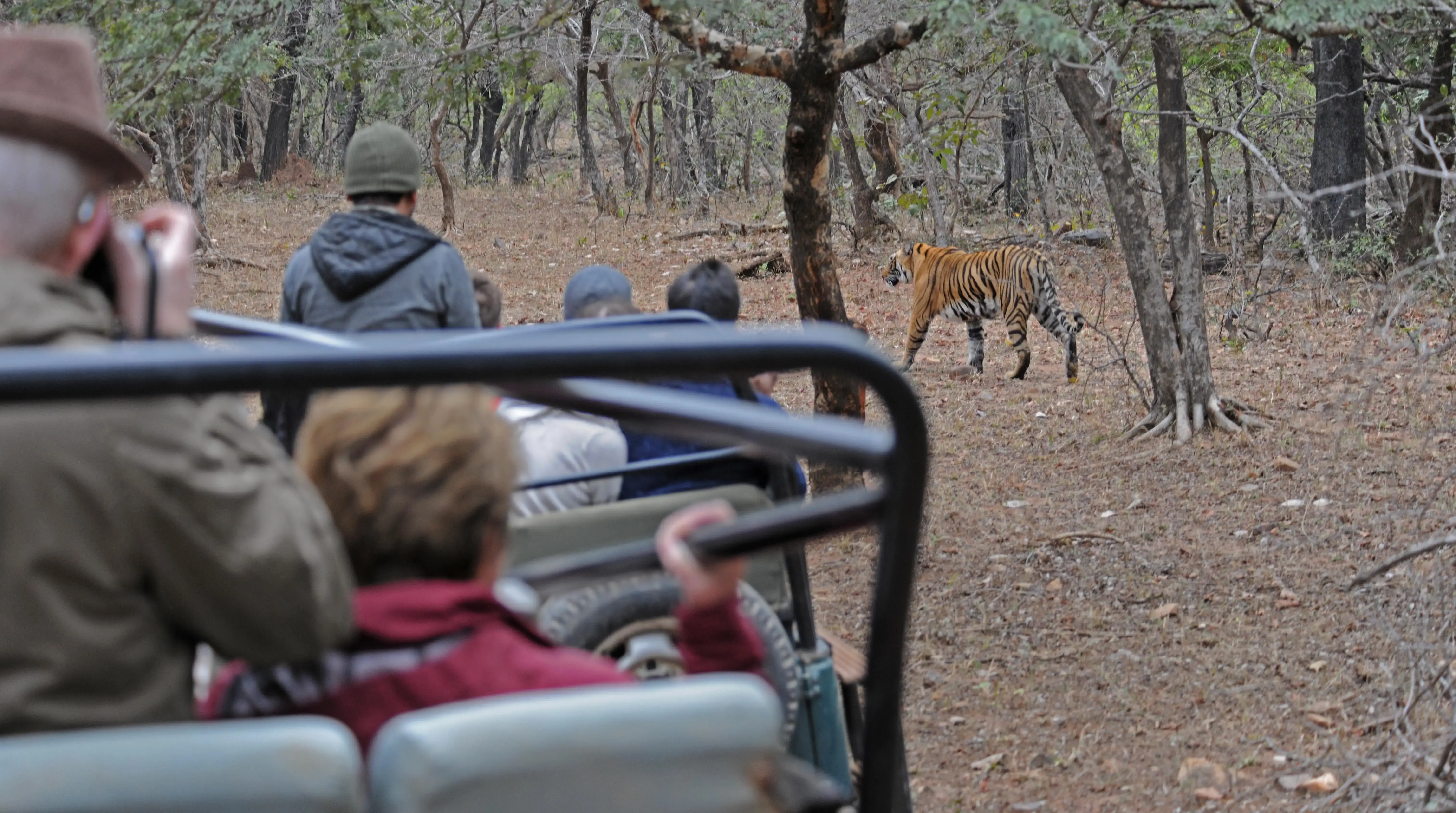 Golden Triangle Nepal and Wildlife