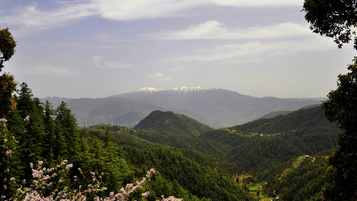 Have you travelled to Chail in Himachal Pradesh? – The Boringbug