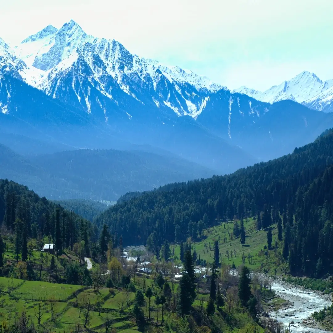 Splendor Of Kashmir