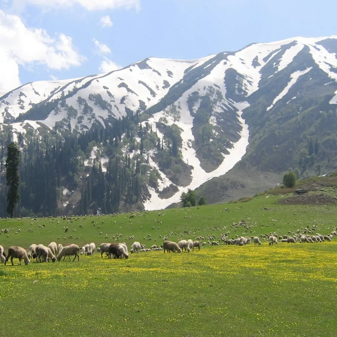 Enchanting Kashmir Package