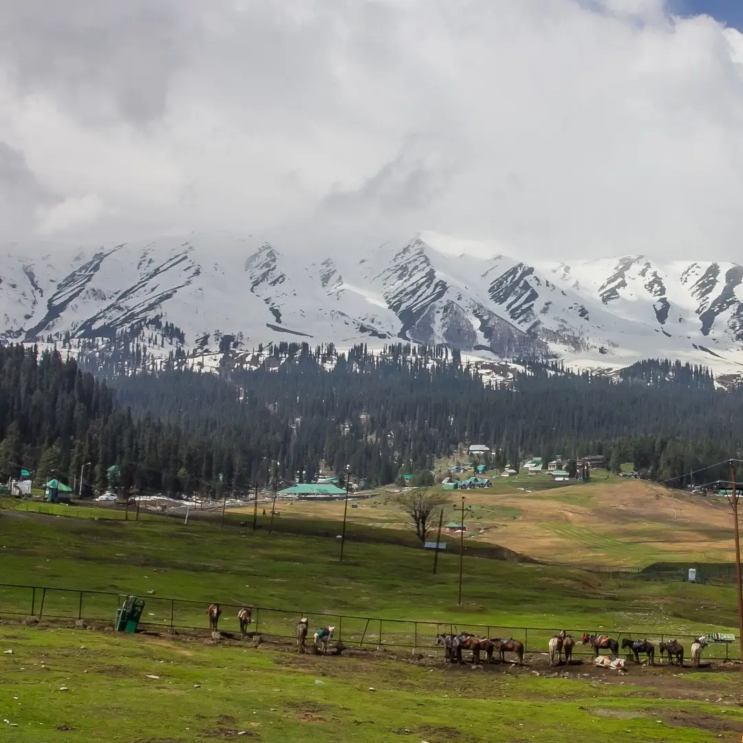 Kashmir Houseboat With Gulmarg