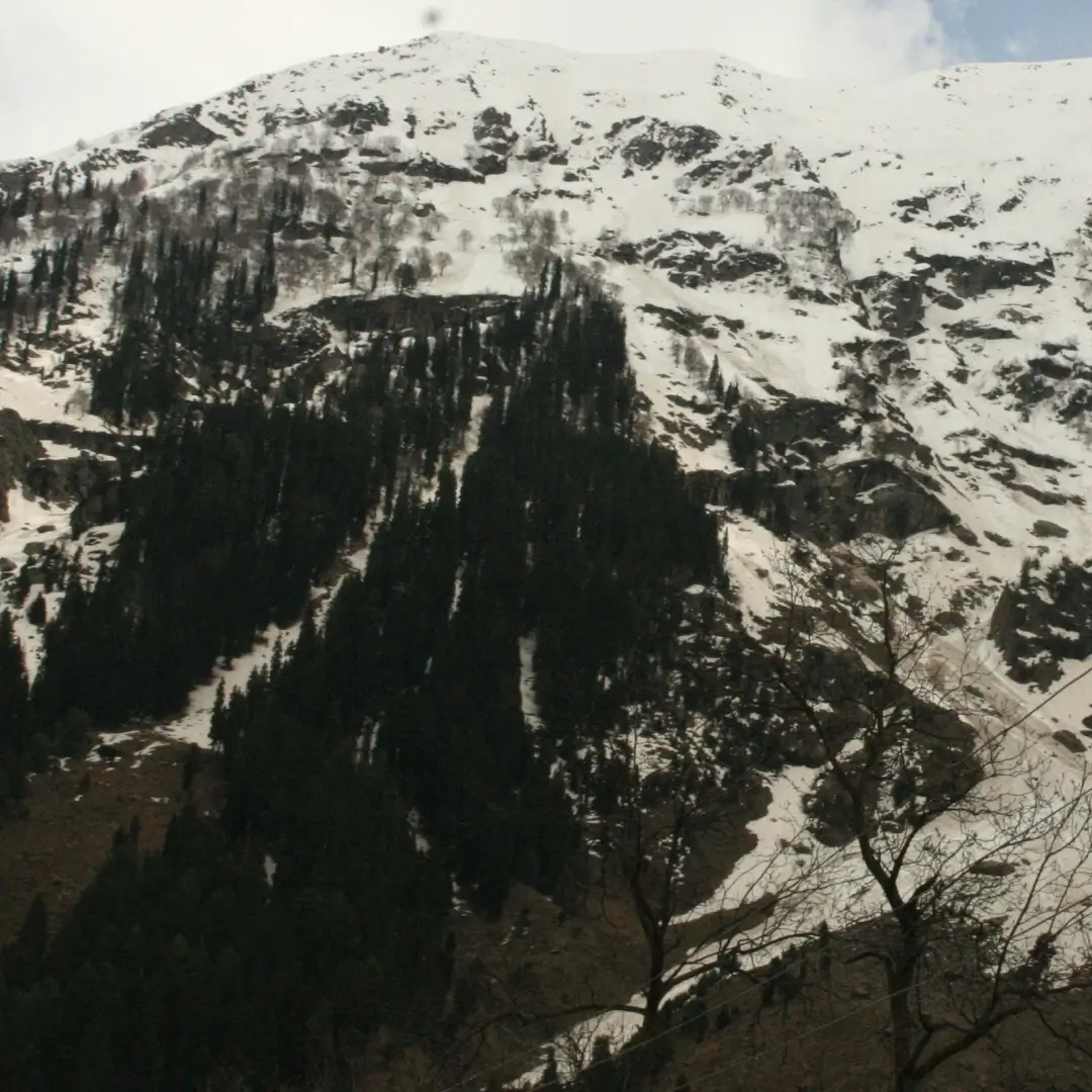 Pahalgam Tarsar Marsar Trek