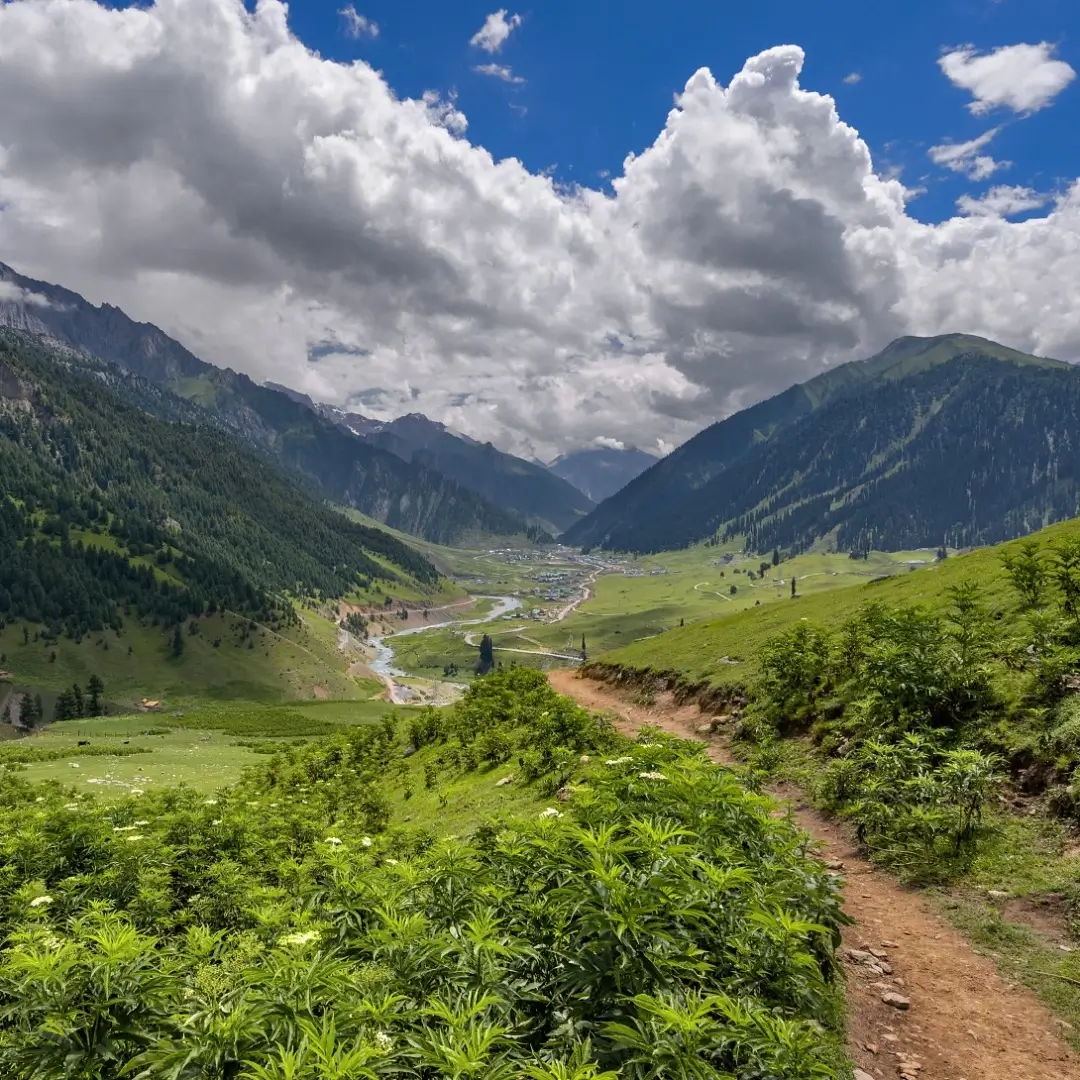 Bandiopra Gangabal Naranag Trek