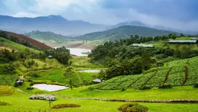 Bangalore Mysore Ooty Tour