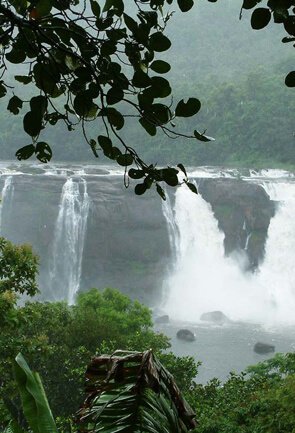 Kerala Nature & Waterfalls Getaways