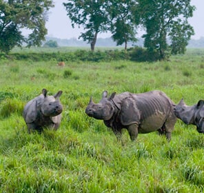 bishnupur tourism area