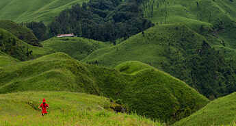 Dzukou Valley Trek