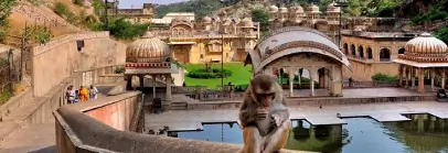 The Monkey Temple, Jaipur