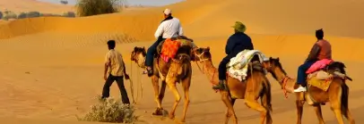 Sand Dunes Safari, Bikaner