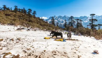 Sikkim and Kanchenjunga Trek