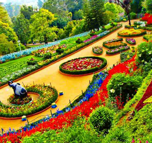 ooty visit right time