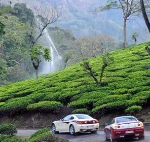 tour to ooty